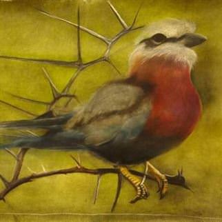 Birdie vogel